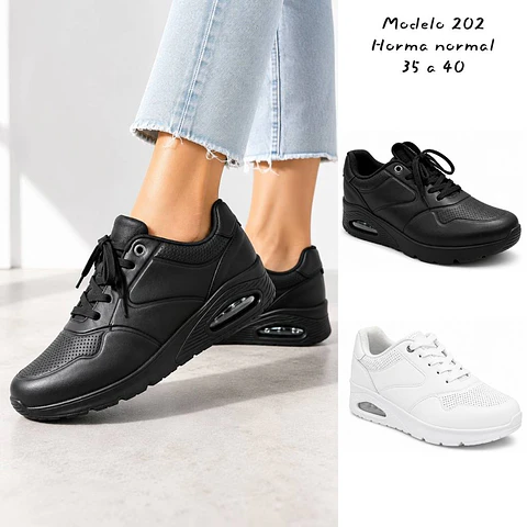 Modelo 202 - Air Motion