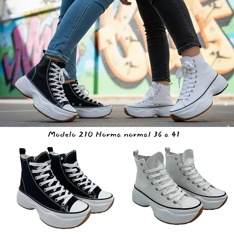 Modelo 210 - Elevate Canvas