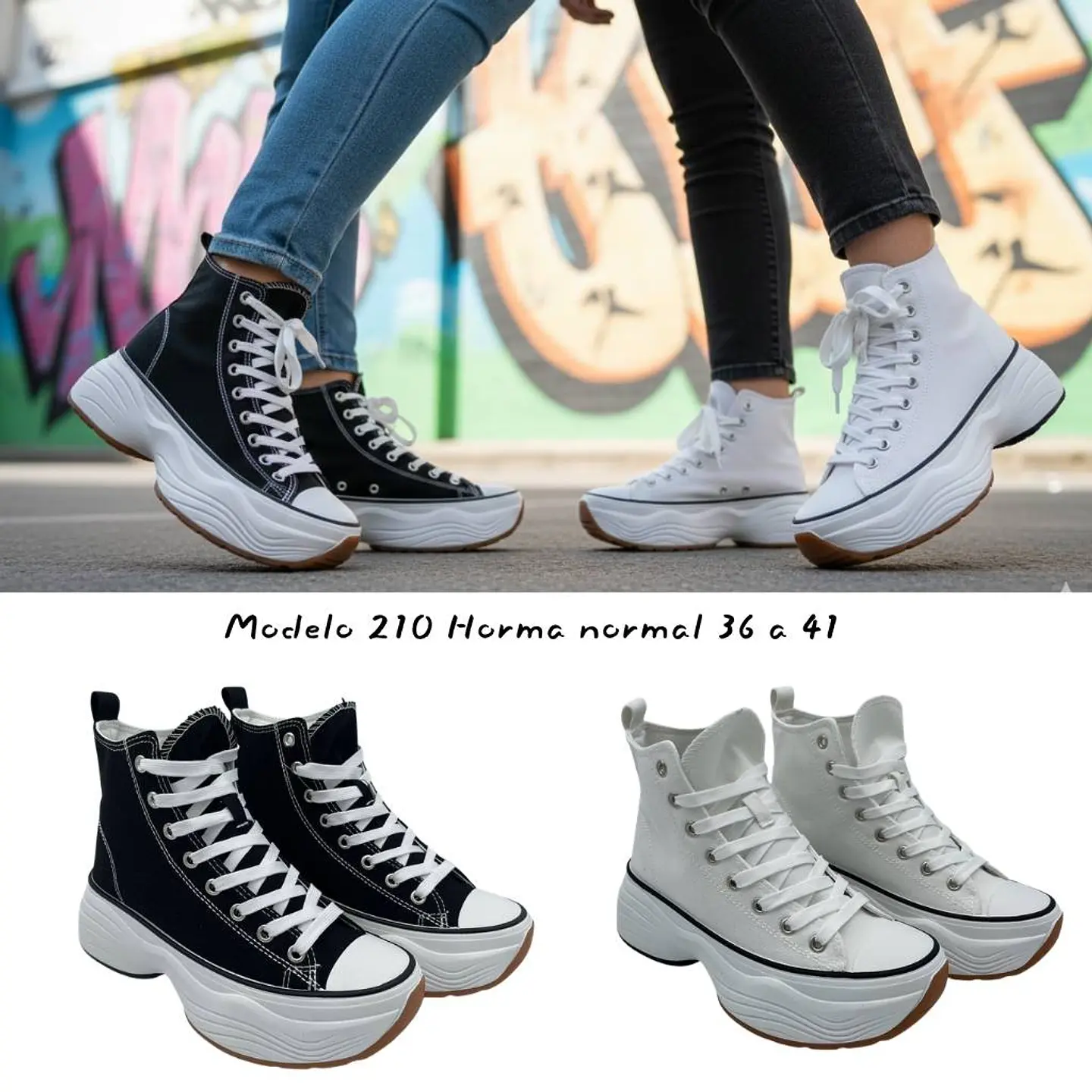 Modelo 210 - Elevate Canvas 1