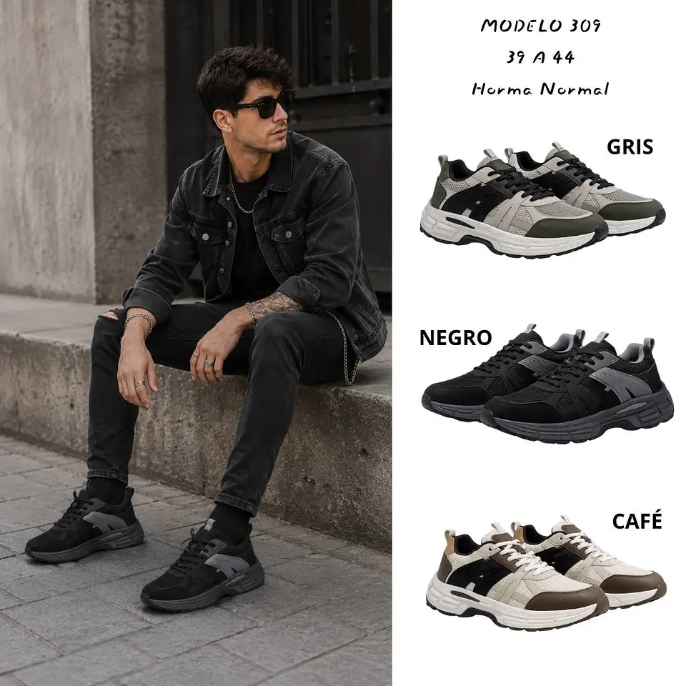 Modelo 309 - Summit Flow 1