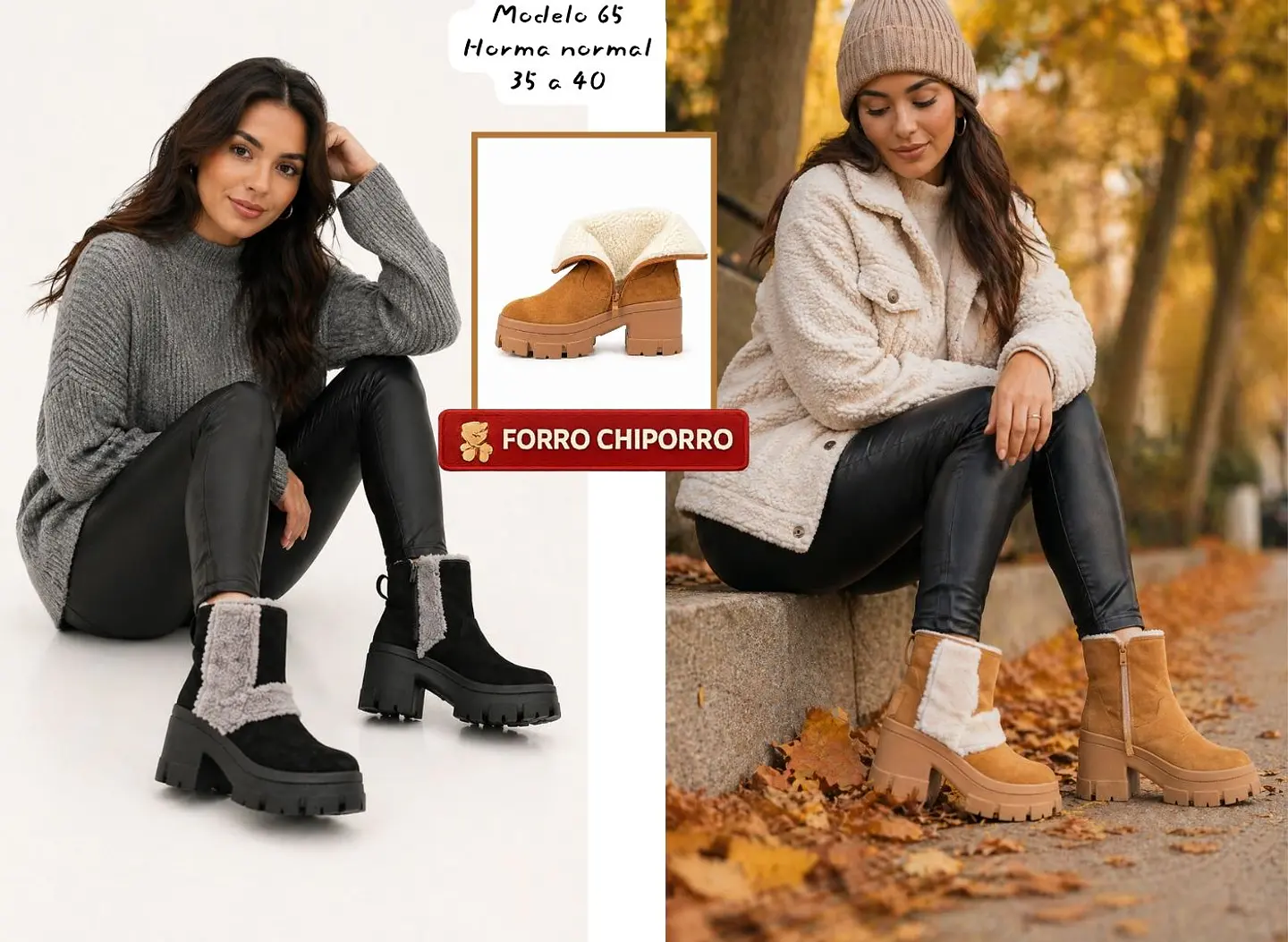 Modelo 65 - Choapa 1