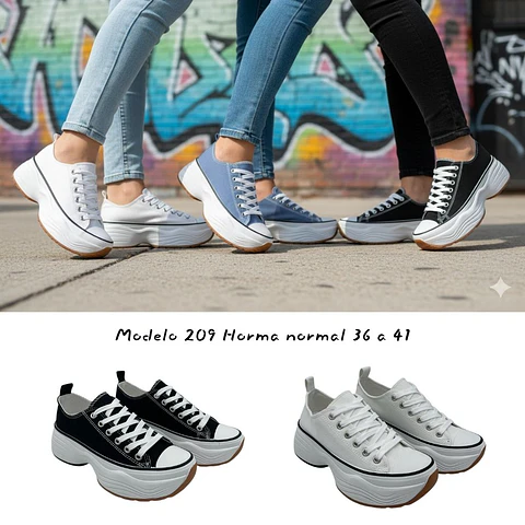 Modelo 209 - Cloud Street