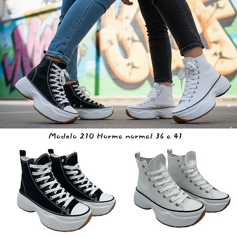 Modelo 210 - Elevate Canvas