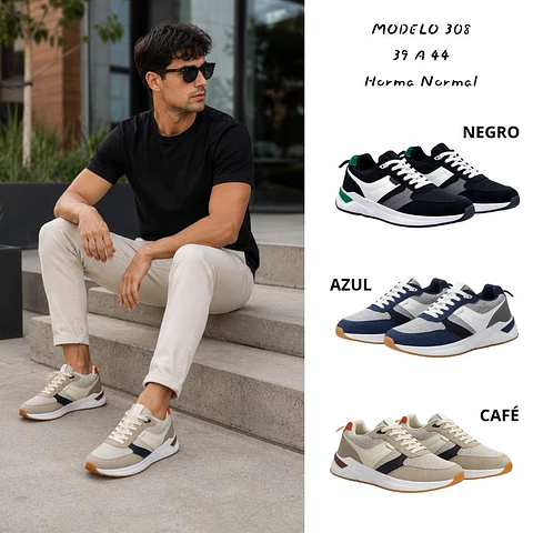 Modelo 308 - Francisco