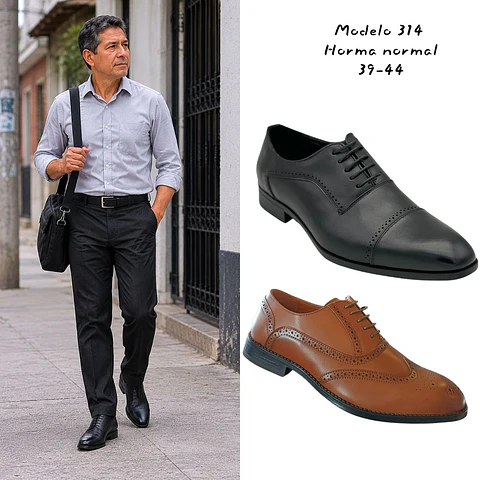 Modelo 314 - Ricardo