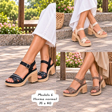 Modelo 6 - Riviera