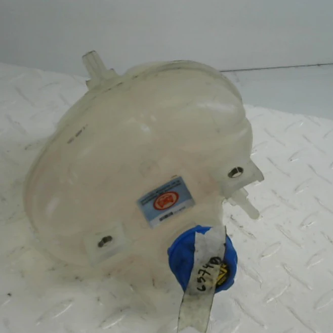 Deposito Refrigerante Fiat Mobi Like L/21 5P 2021 1