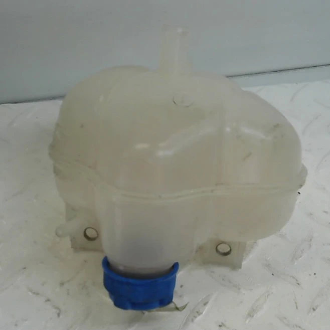 Deposito Refrigerante Fiat Mobi Like L/21 5P 2021 3