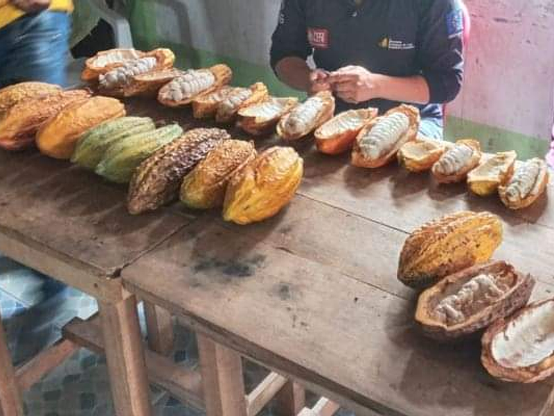 Descubre los Diferentes Tipos de Chocolates y Sus Características