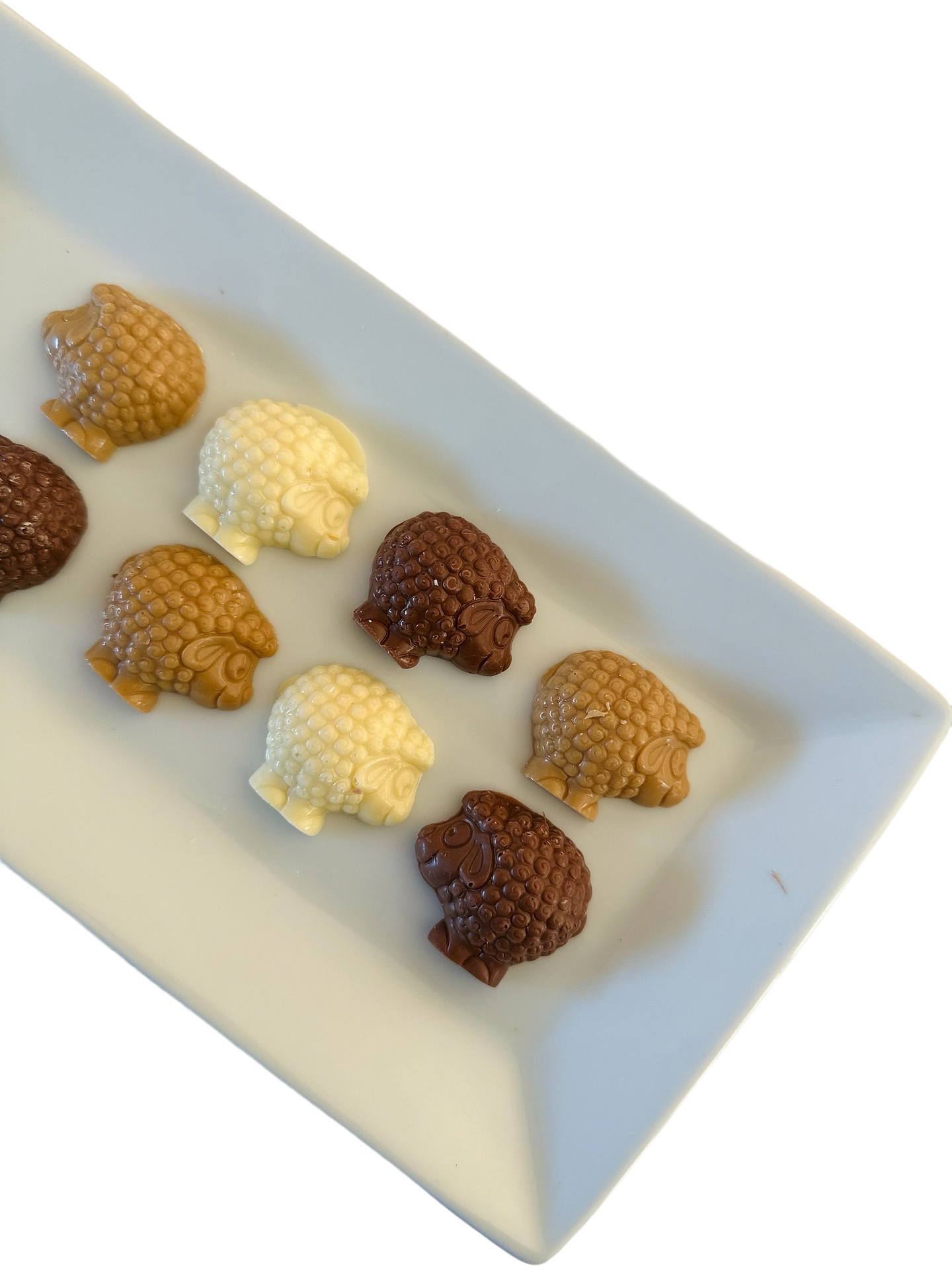 Ovejas de Chocolate 1