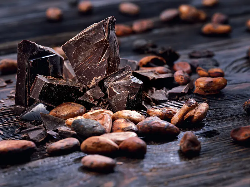¿El secreto de la juventud está en el chocolate amargo? Lo que dice la ciencia sobre la Teobromina
