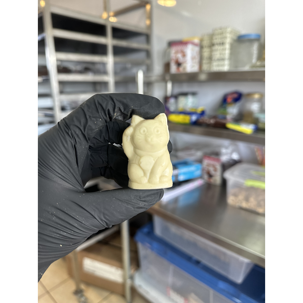 Gatitos de la suerte individuales