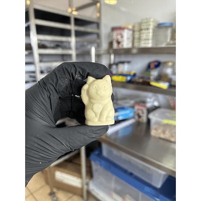 Gatitos de la suerte individuales