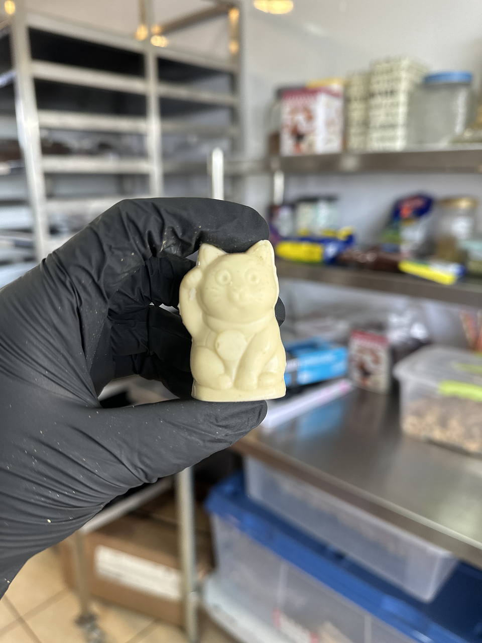 Gatitos de la suerte individuales 2