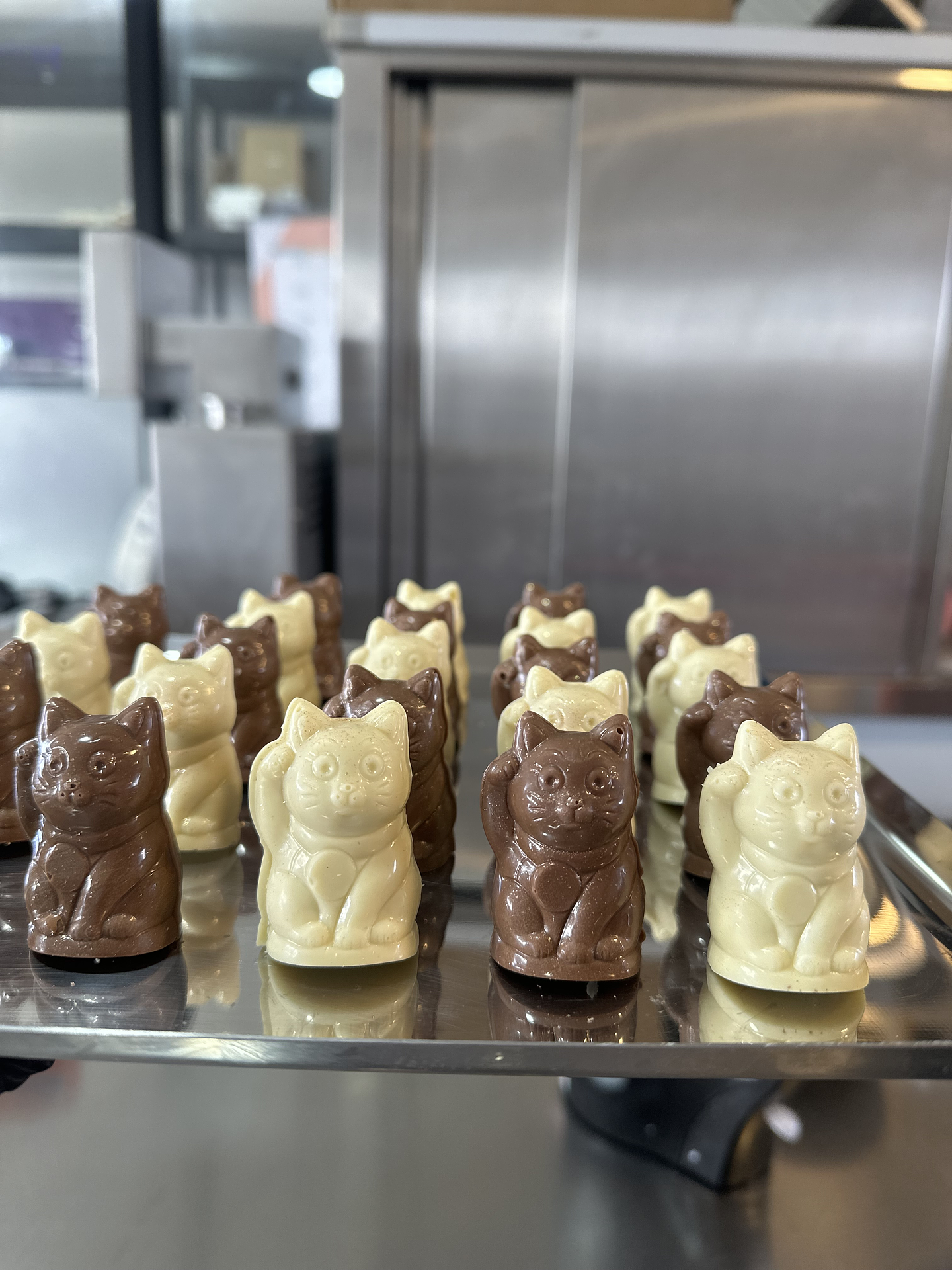 Gatitos de la suerte individuales 3