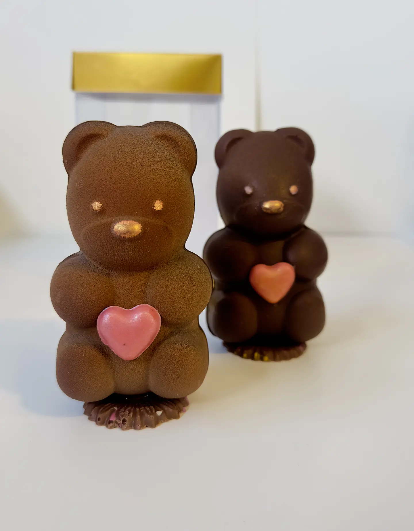 The ICONIC BEAR - Osito Icónico- PREVENTA EXCLUSIVA DIA DE LA MADRE 3