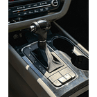 KIA GRAND CARNIVAL EX LIMITED 2.2 DIESEL AUT 2017 11