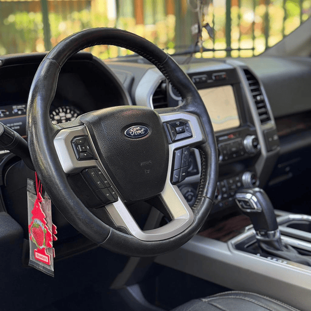 Ford F-150 LARIAT LUXURY 4X4 5.0 2020 12