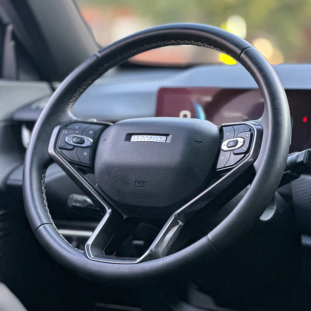 Haval H6 GT 2.0 Aut 2024 13
