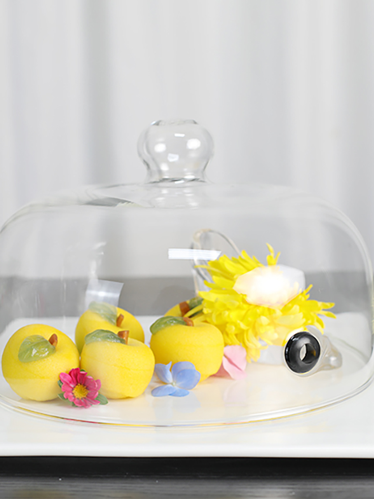 Cúpula De Vidrio Para Ahumador 26x20 CM 3