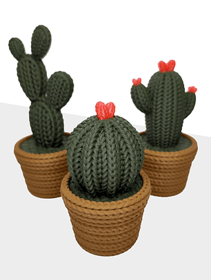 Contenedor adorno cactus