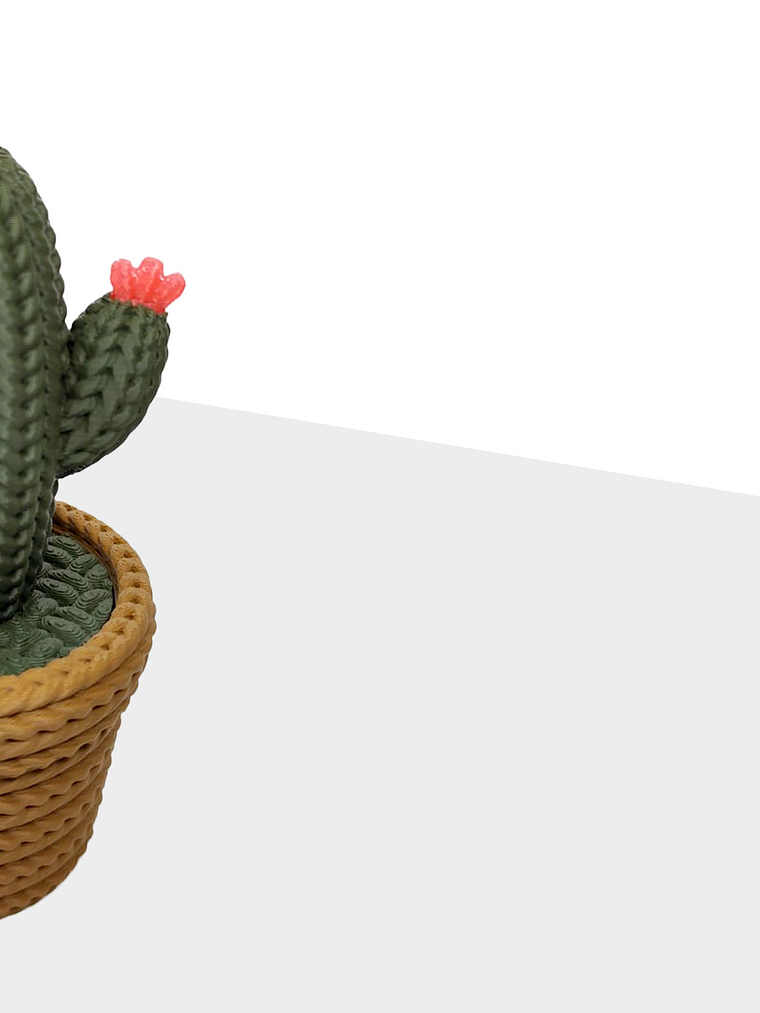 Contenedor adorno cactus 2