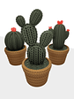 Contenedor adorno cactus - Miniatura 3