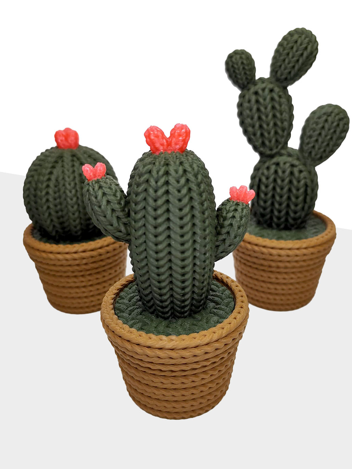 Contenedor adorno cactus 4