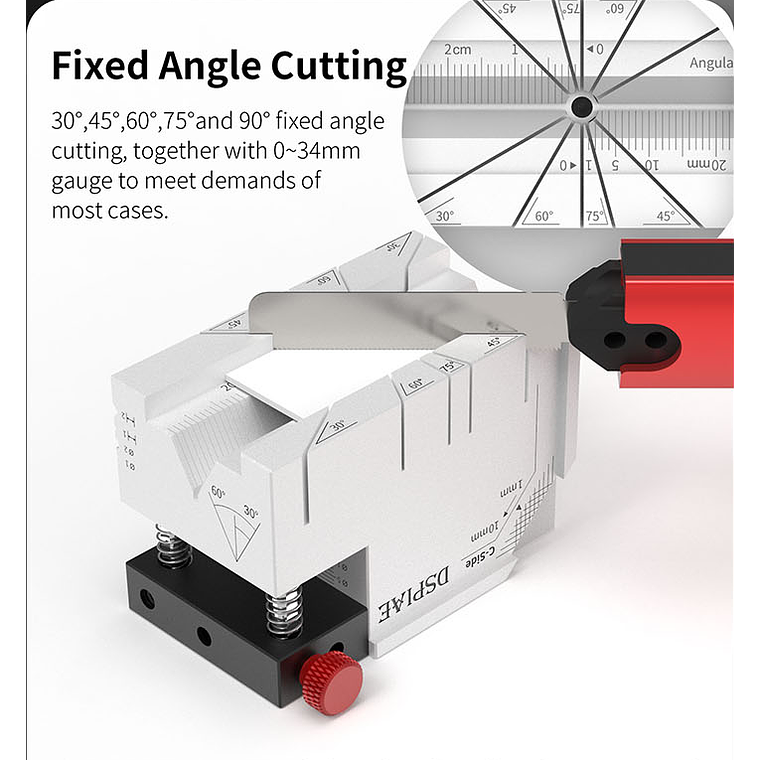 Preventa Dspiae - Plataforma de asistencia multipropósito 10