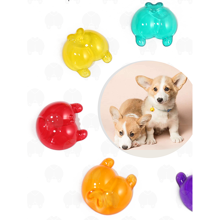 Preventa Dspiae - Potitos de corgi para testeo de colores 3