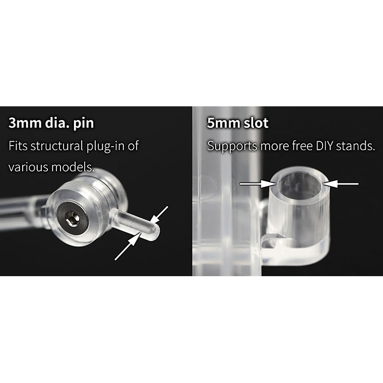 Dspiae - Base para modelos 5