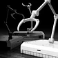 PREVENTA - Dspiae - Base para modelos - Miniatura 1