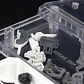 PREVENTA - Dspiae - Base para modelos - Miniatura 7