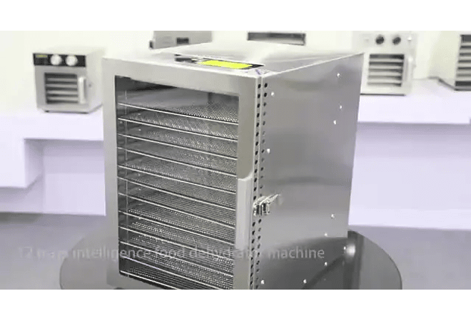 IMP0042-Secador de alimentos doméstico com 12 camadas 220 vfrutas, máquina de secagem, desidrata e dissolução de alimentos 