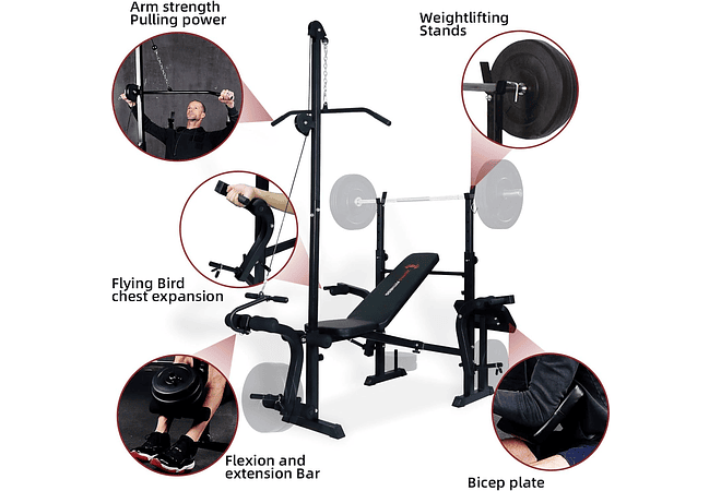 IMP0169- Banco de musculação para ginásio máximo 300 kg 