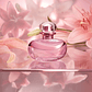 Love Lily EDP 75ml - Thumbnail 6