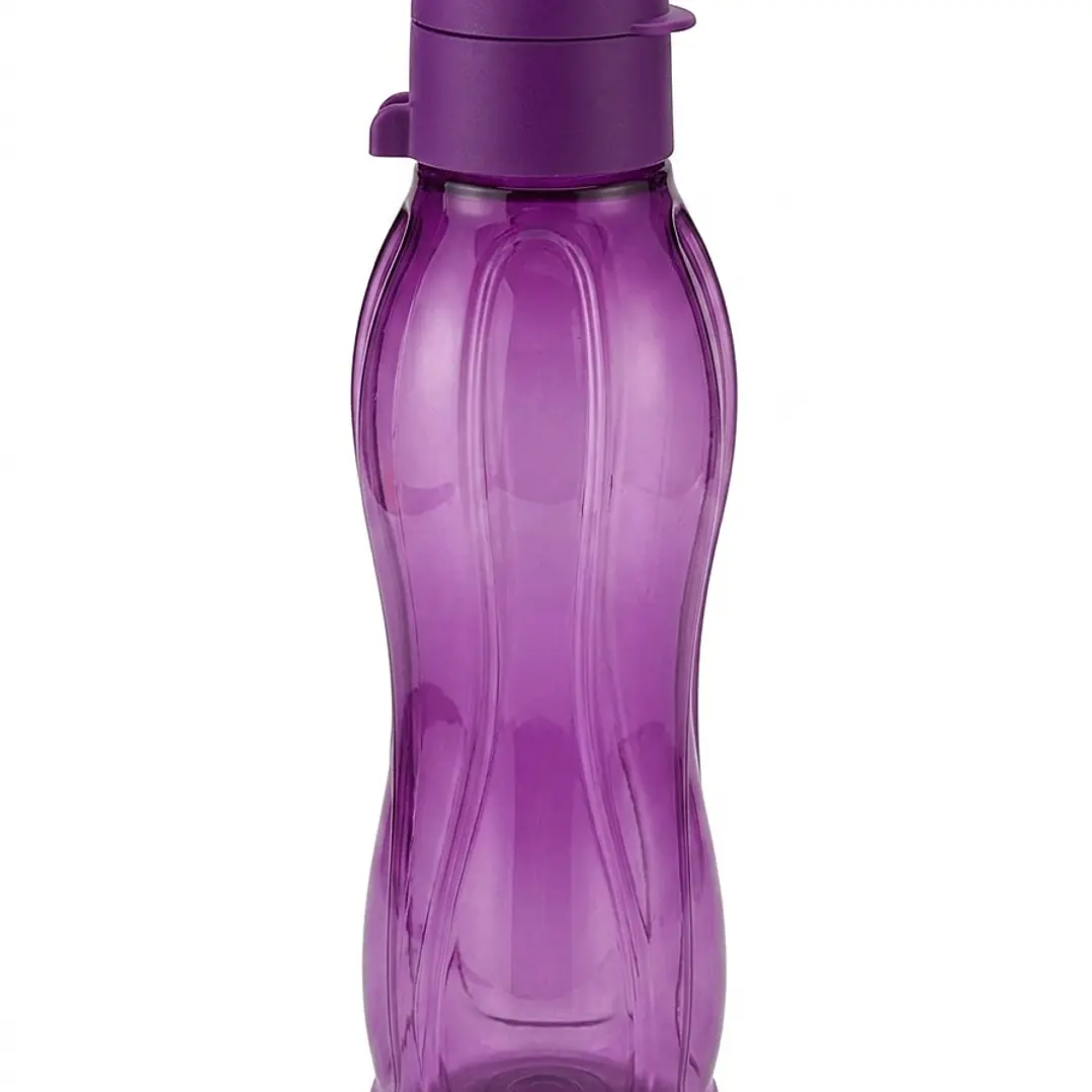 Eco Garrafa, TUPPERWARE, COR AMEIXA  1L 4