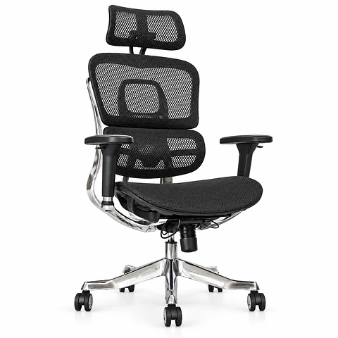 Silla Presidencial Zaha Negra