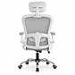 Silla Gerencial Evok Gris  - Miniatura 4