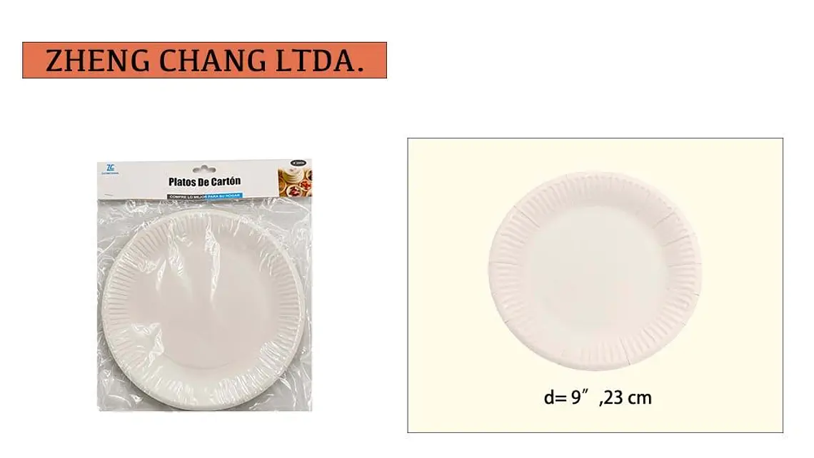 Plato desechable de 9 pulgadas (x12) 1