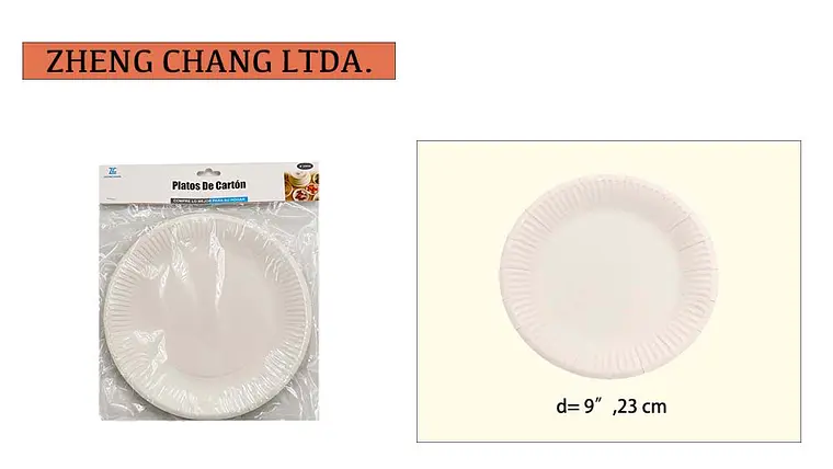 Plato desechable de 9 pulgadas (x12) 1