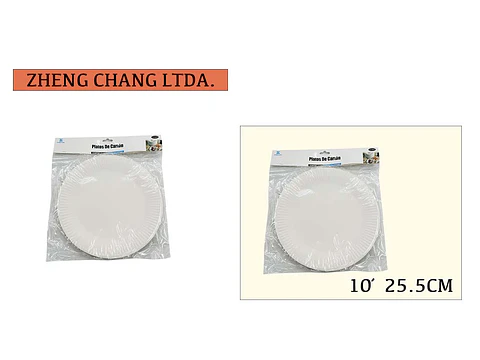 Plato desechable de 10 pulgadas (x12)