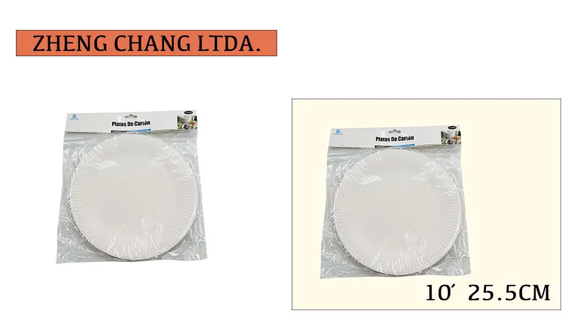 Plato desechable de 10 pulgadas (x12) 1