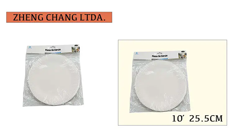 Plato desechable de 10 pulgadas (x12) 1