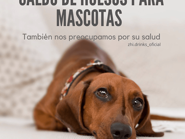 Caldo de Huesos para Mascotas