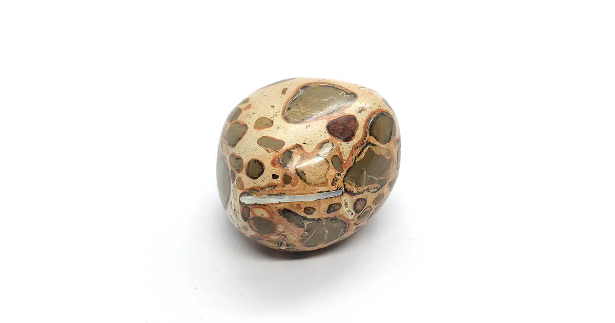 Leopardita
