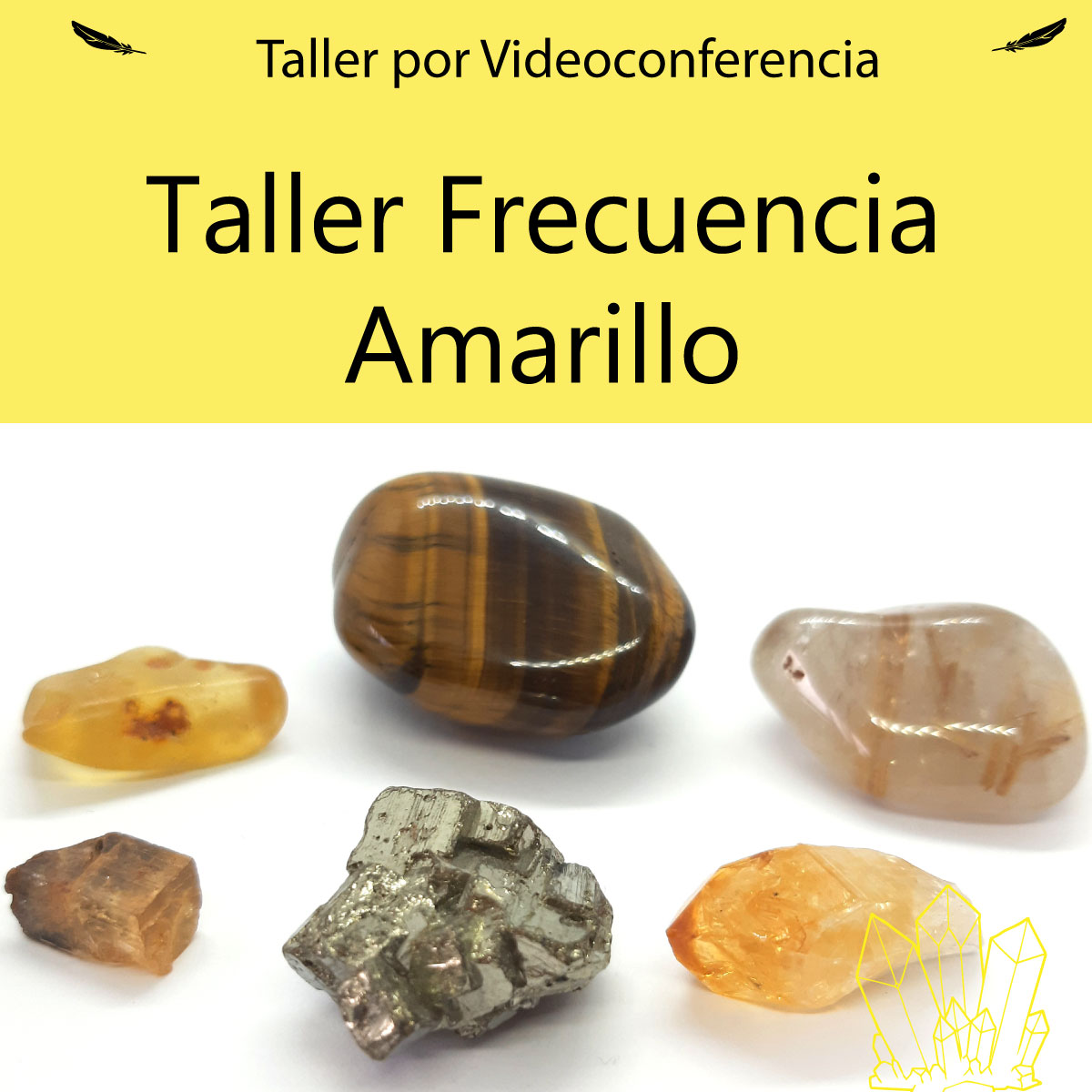 Taller Videograbación Frecuencia Amarillo