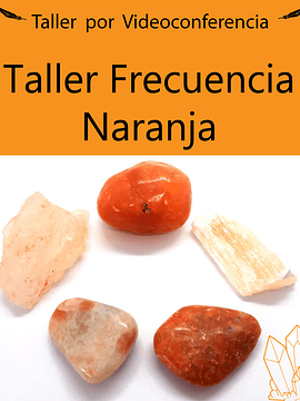 Taller Videograbación Frecuencia Naranja 