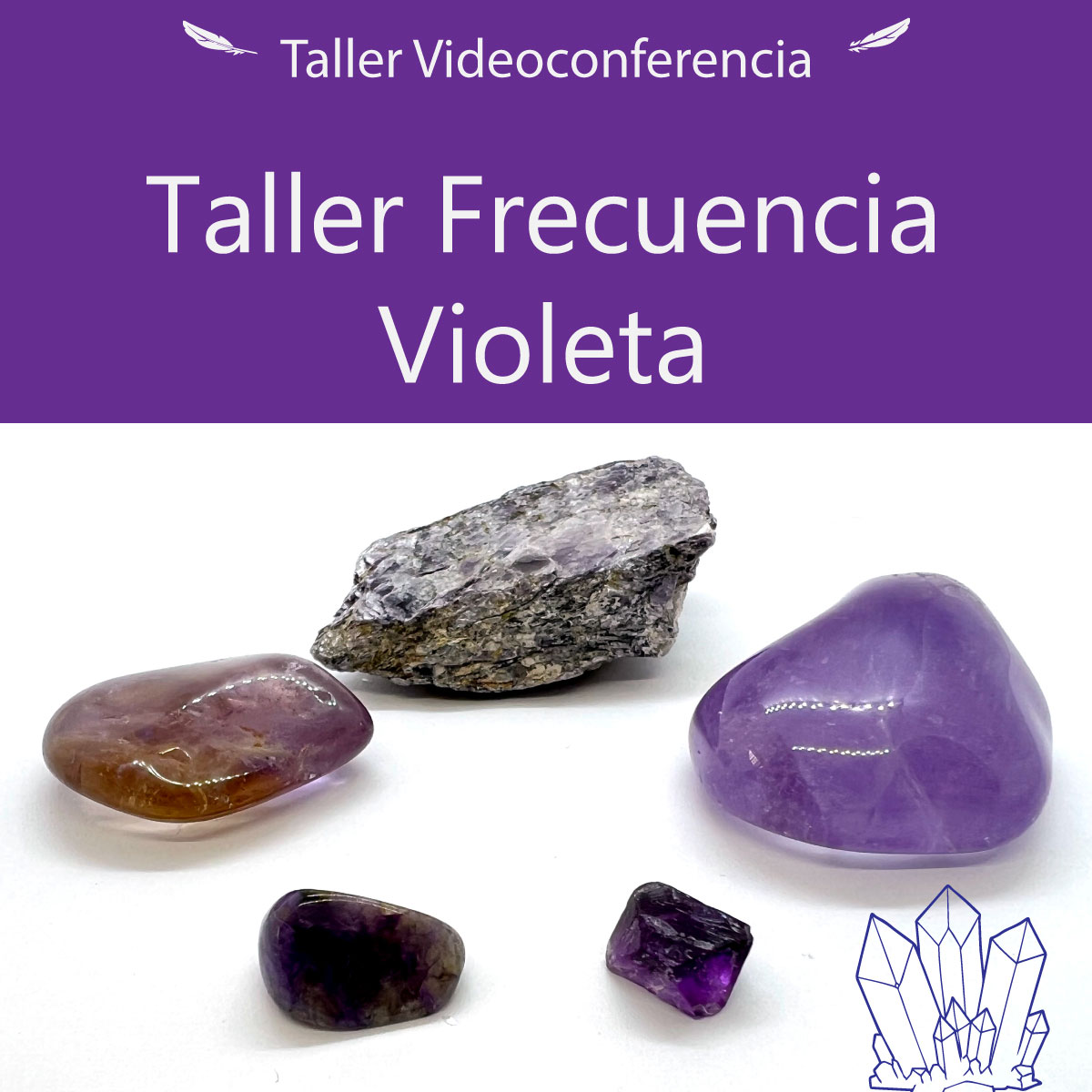 Taller Virtual  Frecuencia Violeta