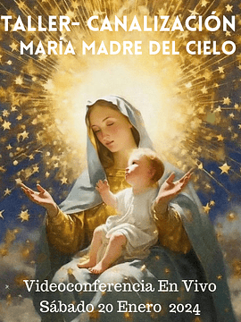 Taller Videoconferencia - María Madre del Cielo 